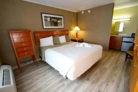 The Crusader Oceanfront Family Resort - 19