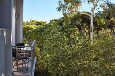 The Gardens Gallery - 12