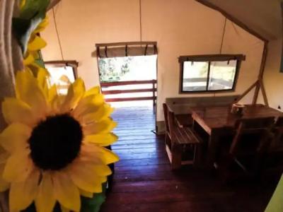 Sunflower Camping - 21