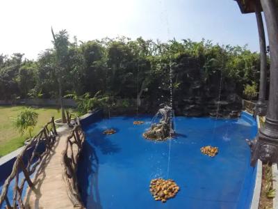 Dhammika Magic Palace - 14