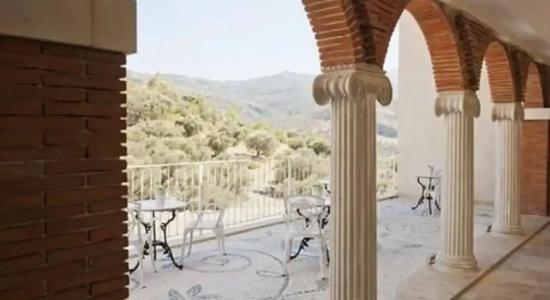 Vinifera Ephesus - 28