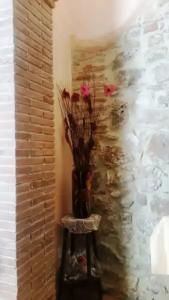 Bed and Breakfast Camere Primavera - 16