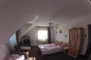 Olympos Panzio, Budaors