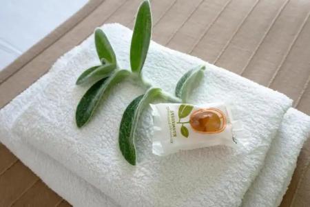 The Orange Garden Apartments - 49