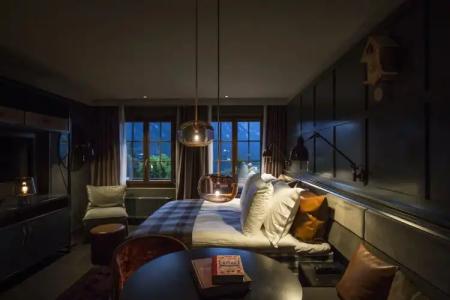 HUUS Gstaad - 3