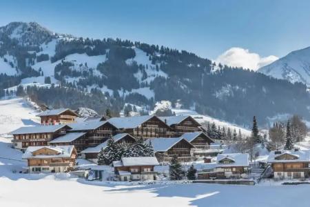 HUUS Gstaad - 40