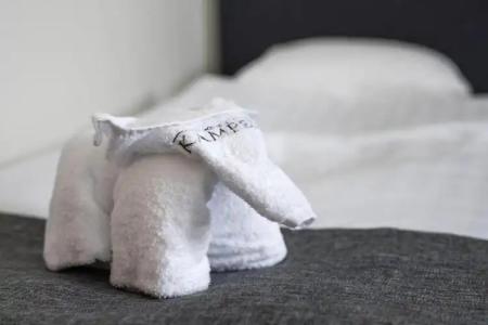 Hotelli Kampeli - 27