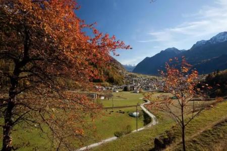 Centrale, Typically Swiss - 7