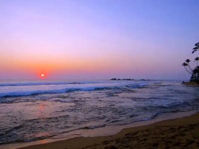 Amadeo Beach Resort - 11