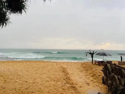 Amadeo Beach Resort - 9