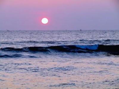 Amadeo Beach Resort - 10