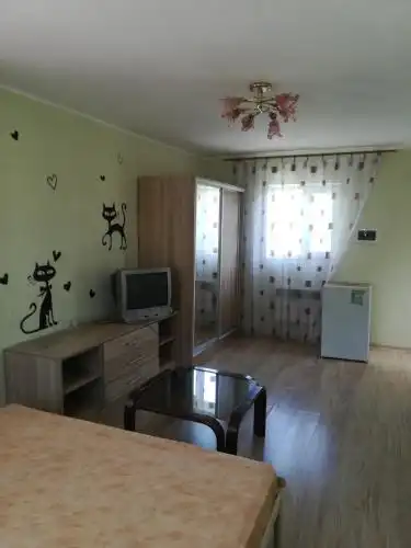 Гостевой дом на Каманина - 49