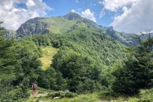 Baba Stana Houses, Apriltsi