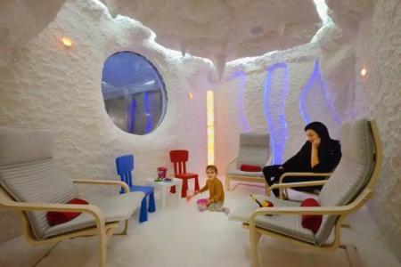 Apart Hello Hissar - 1