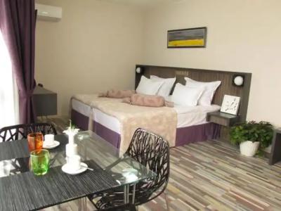 Apart Hello Hissar - 16