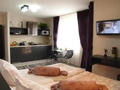 Apart Hello Hissar - 15