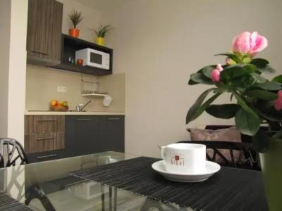 Apart Hello Hissar - 17