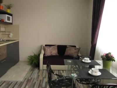 Apart Hello Hissar - 14