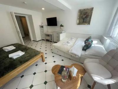 Vila Na Landeku - 23