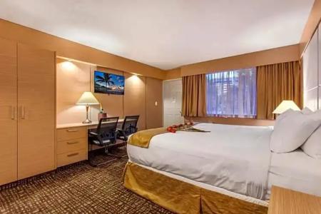 Ocean Beach Club - 36