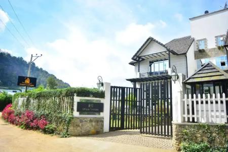 Mountview Luxury Cottage - 39