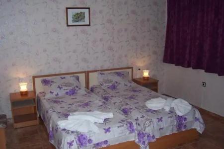 NELLY Guest House - 2