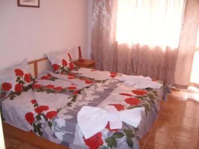 NELLY Guest House - 17