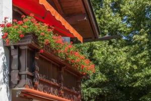 Hotel Alpina, Hagnau