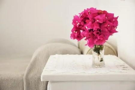 Bungalows Marina - 101