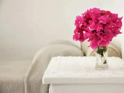 Bungalows Marina - 87