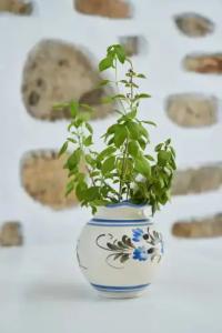 Bungalows Marina - 54