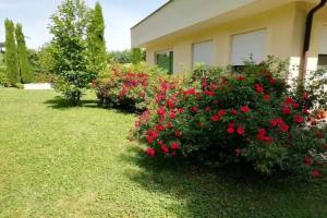 B&B Terra del Sole, Valmontone