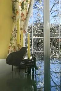 Marinero Apartments - 104