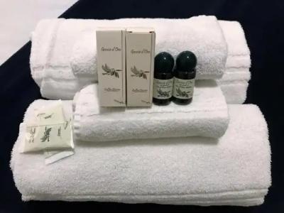 Fiumicino Airport B&B Deluxe - 13