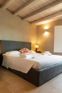 Graffiti Affittacamere - 43