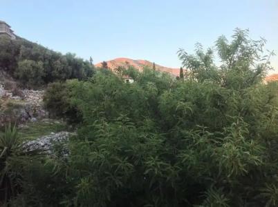 Asteras Studios - 14