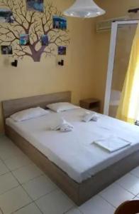 Asteras Studios - 47