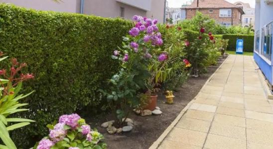 Guest House Kristal - 8
