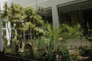 La Casita di Fuerte, Caleta de Fuste