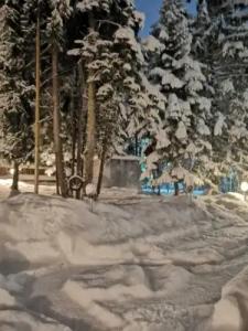 Saint George Holiday Village - 16