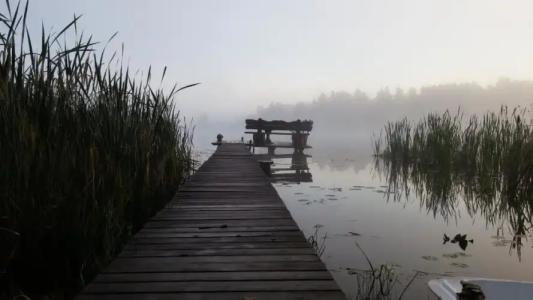Trainiškio pirkia - 2