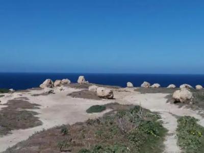 Mood Farmhouse B&B - 1