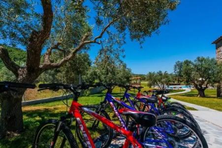 Mediterraneo Luxury Suites Halkidiki - 18