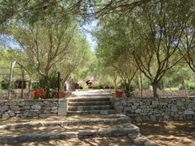 Camping Amanti Del Mare - 5