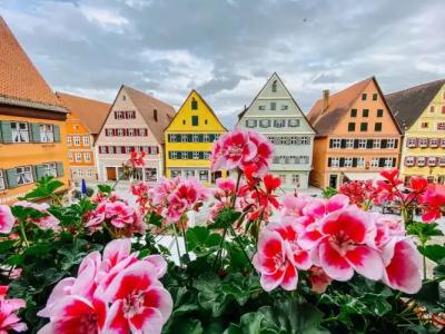 Gasthaus Zur Sonne - 13