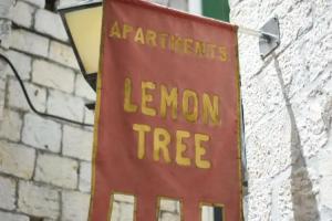 Tragos Lemon Tree, Trogir