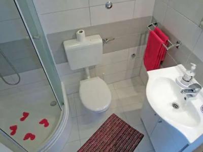 Tragos Lemon Tree - 6