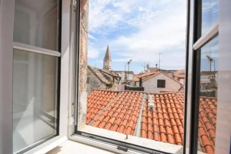 Tragos Lemon Tree - 49