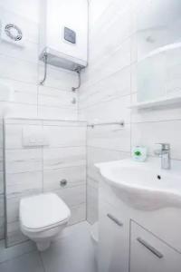 Tragos Lemon Tree - 79