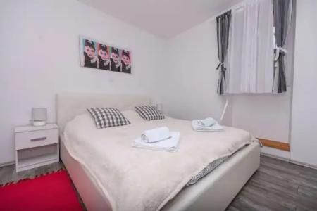 Tragos Lemon Tree - 72